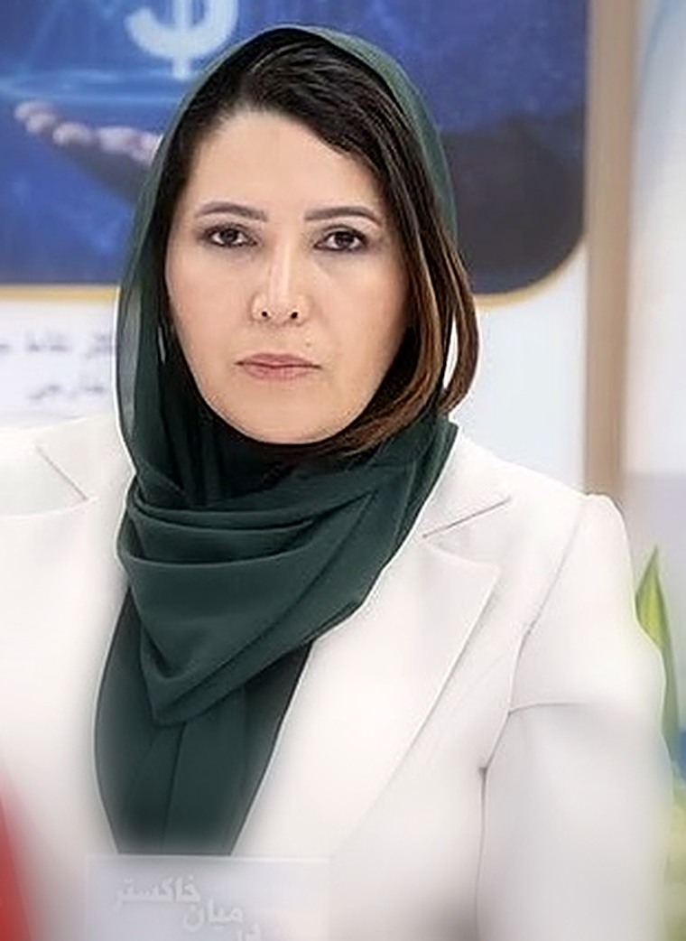Gul Saman Danish, founder of Danish Studio